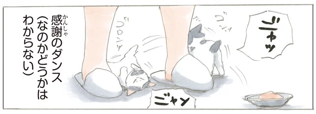 ごはんを前にした嬉しさを全力で伝えたい？ 飼い主の足元でする感謝のダンス