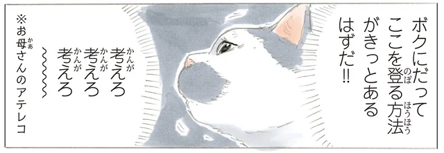 「ボクにだって登る方法があるはずだ」目的地を見据えて考える猫