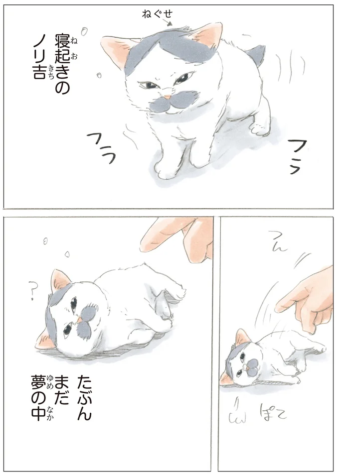 ねむねむノリ吉