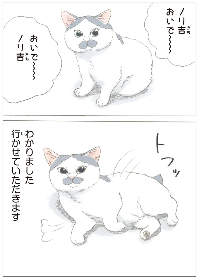 行きますとも