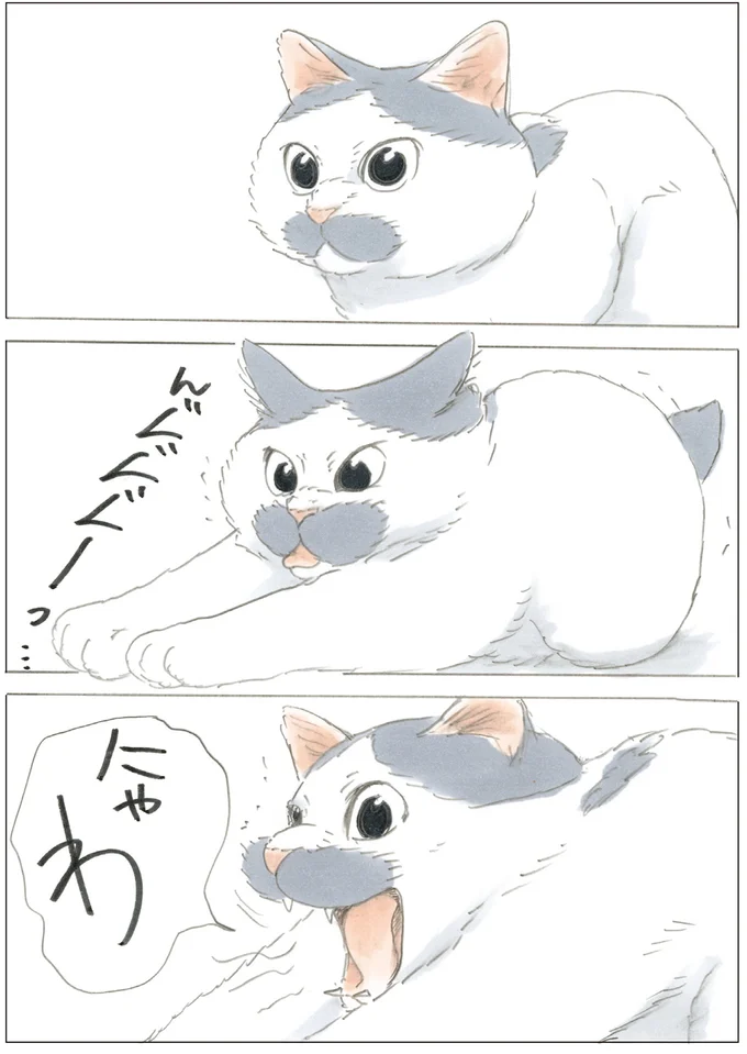 ひと伸び