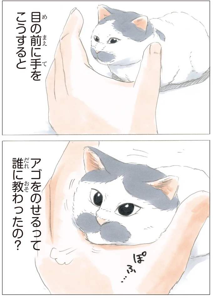 しっくりくる