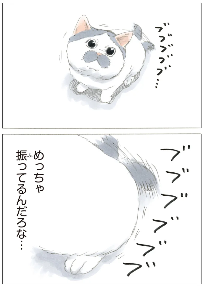 全力のしっぽ振り