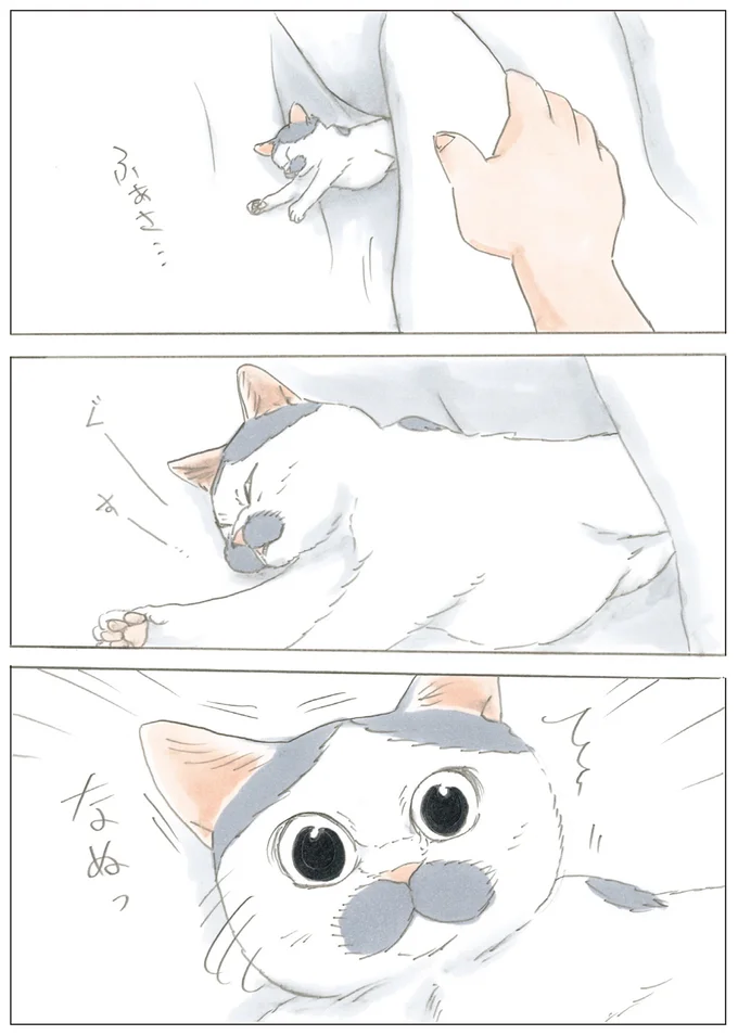 びっくり顔
