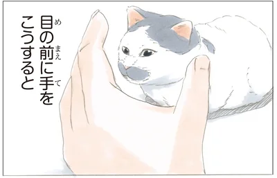 誰に教わったの？