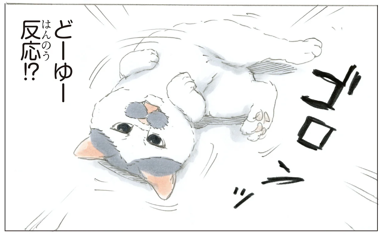 どういう反応!? ねずみのおもちゃが目の前を横切ったときの猫の仕草が