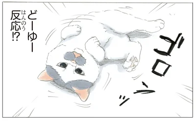 どーゆー反応！？
