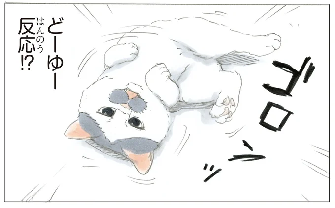 どーゆー反応！？