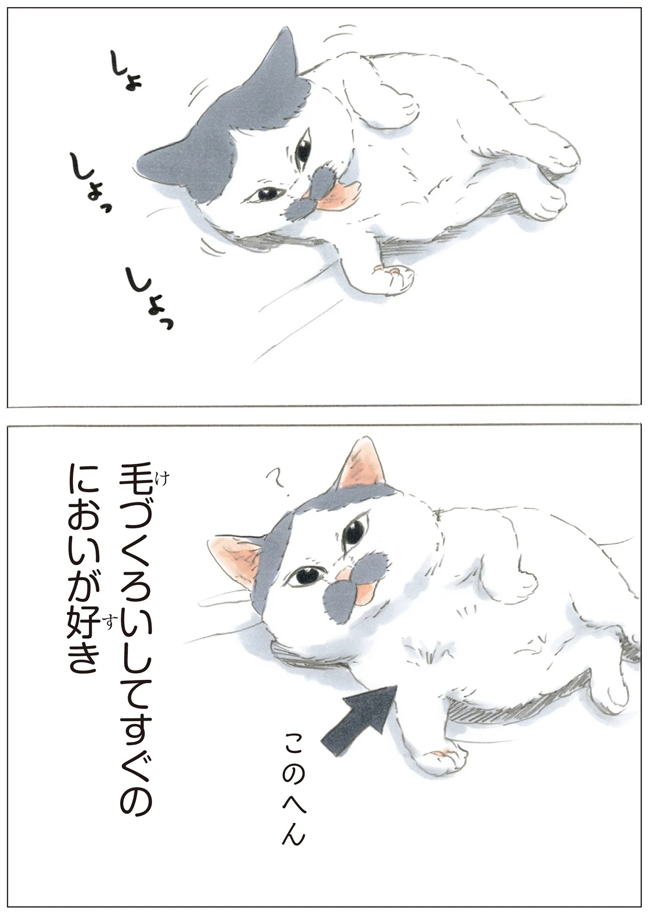どういう反応!? ねずみのおもちゃが目の前を横切ったときの猫の仕草が