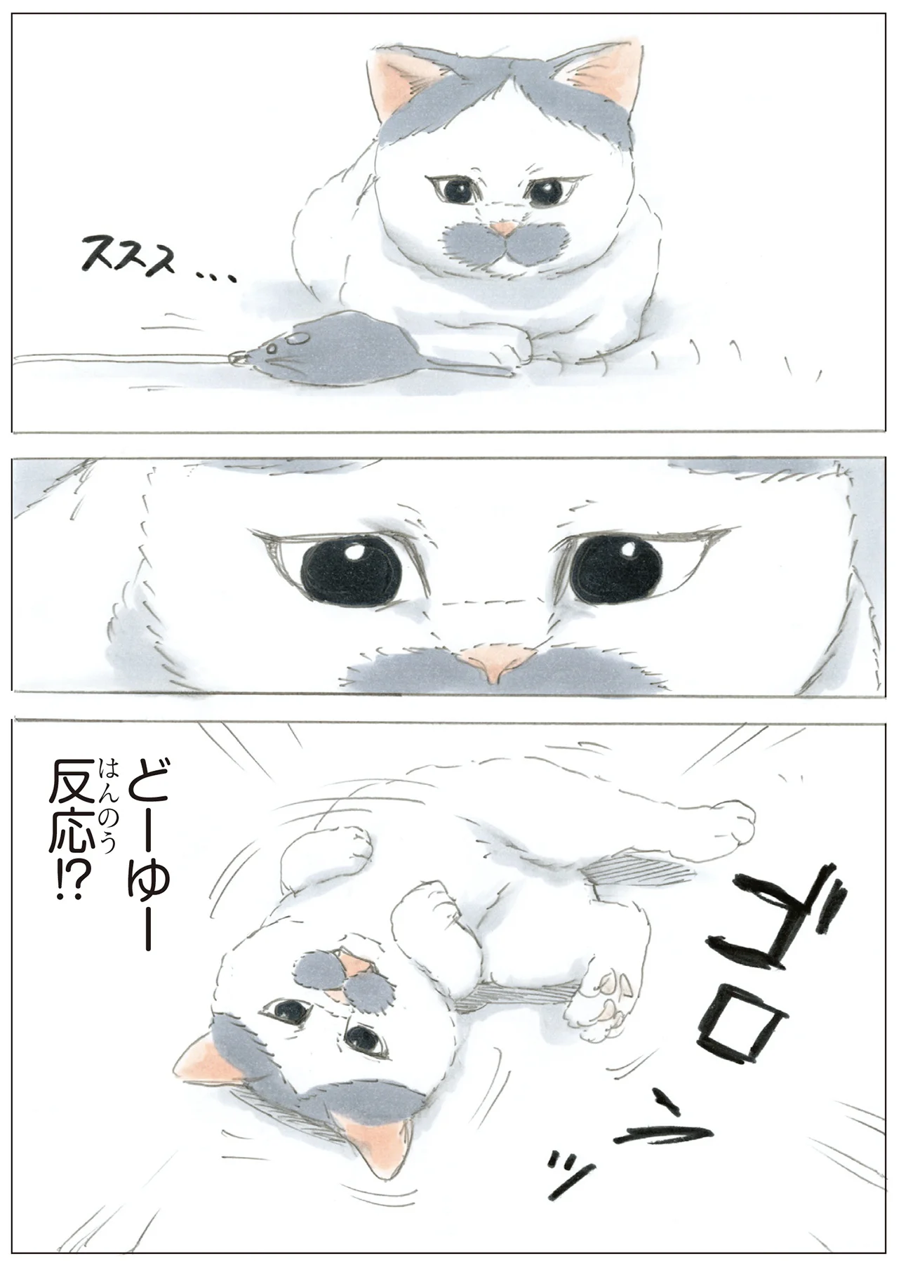 どういう反応!? ねずみのおもちゃが目の前を横切ったときの猫の仕草が