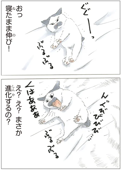 シン・ノリ吉？