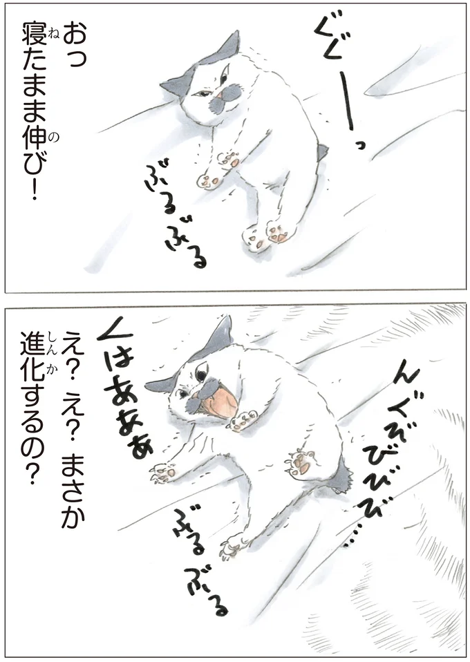 シン・ノリ吉？