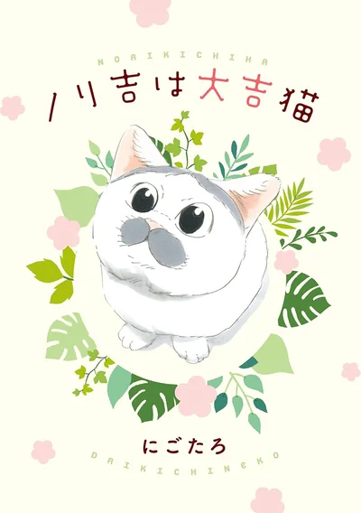 誰もが子猫・ノリ吉に夢中になる！『ノリ吉は大吉猫』