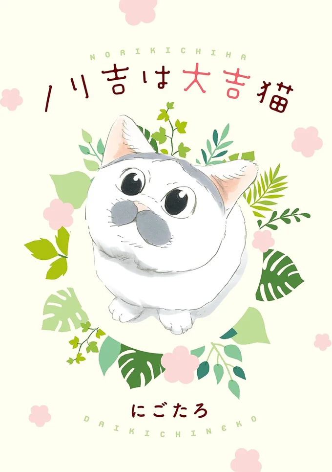 誰もが子猫・ノリ吉に夢中になる！『ノリ吉は大吉猫』