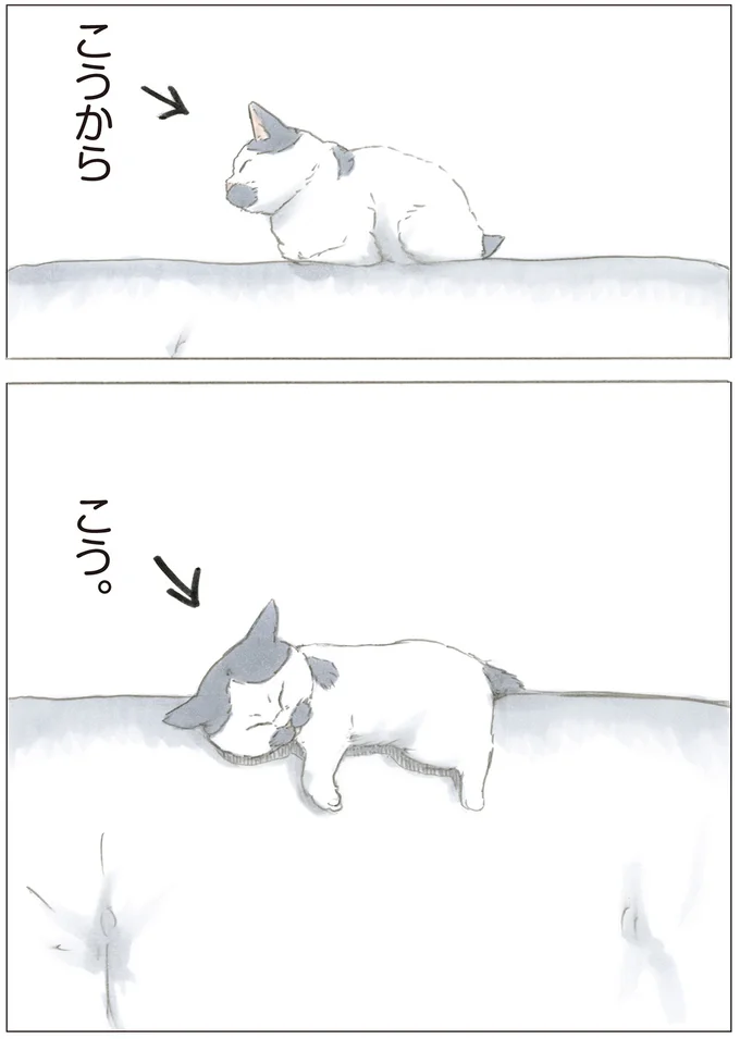 ソファでのだらけ方