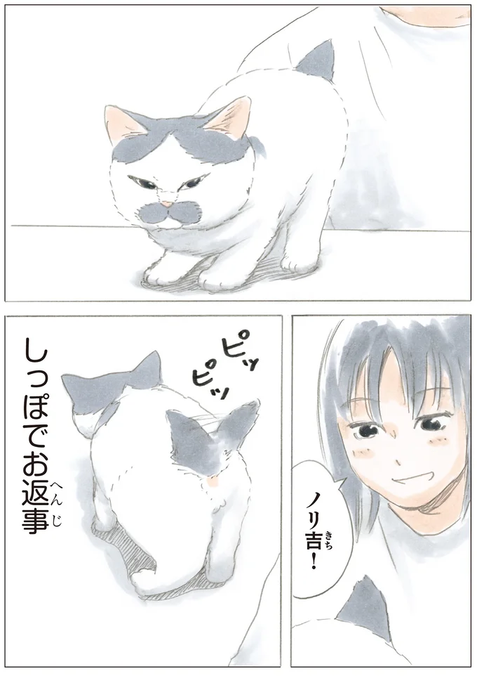 返事の作法