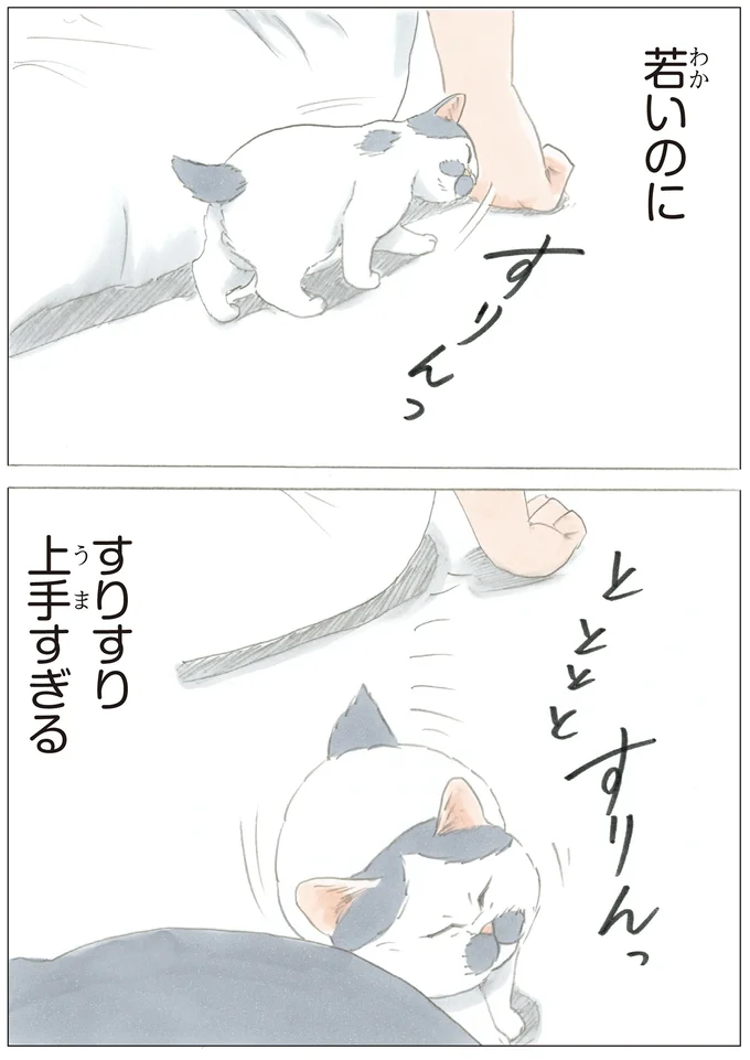 すりすり名人