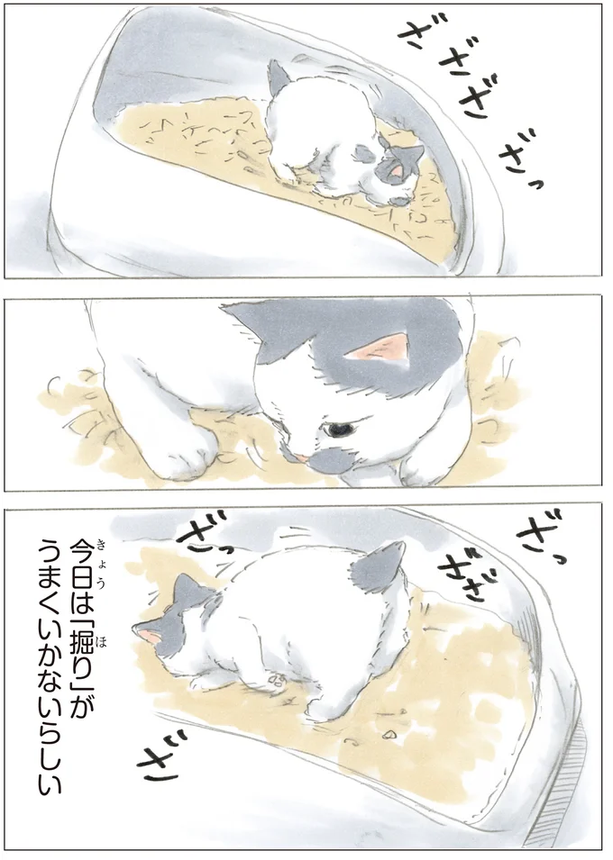 そんな日もあるさ