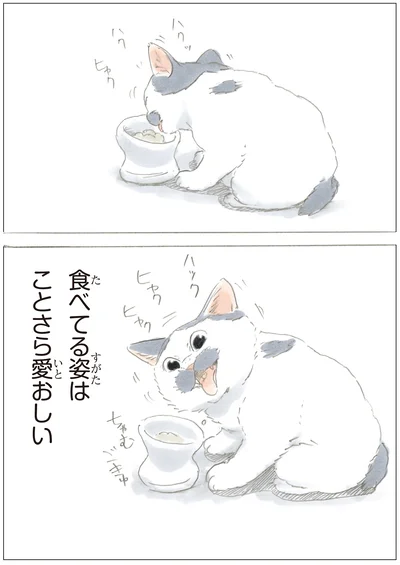 良い食べっぷり