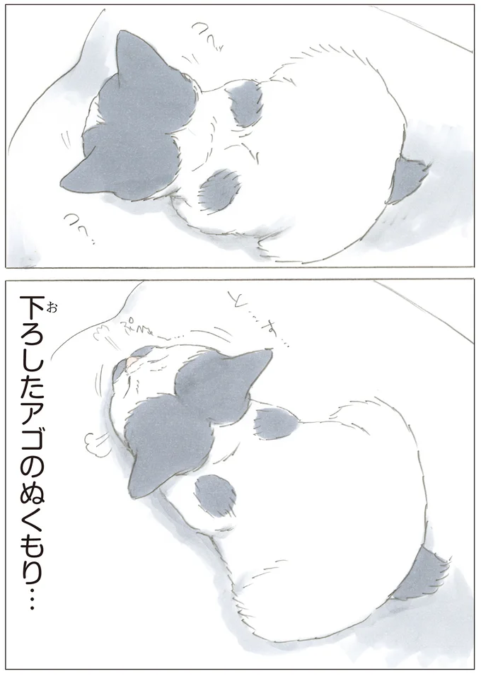 やさしいあったかさ