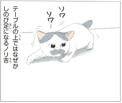 おそるおそる！ うちの猫がテーブルの上だと忍び足になるのはなぜ？