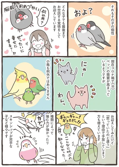 『トリ扱い説明書』より