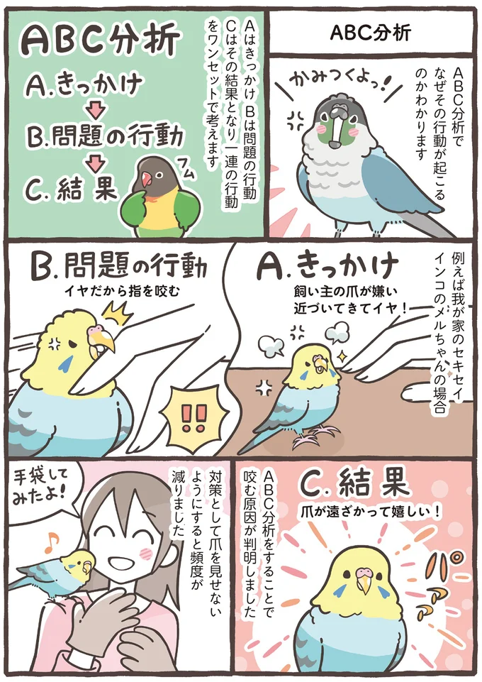 『トリ扱い説明書』より