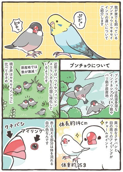 『トリ扱い説明書』より