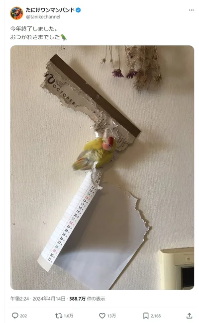 13万いいねを集めた「今年終了しました。おつかれさまでした」のポスト▶「今年終了」に至るまでの写真をチェック（⇒次へ）