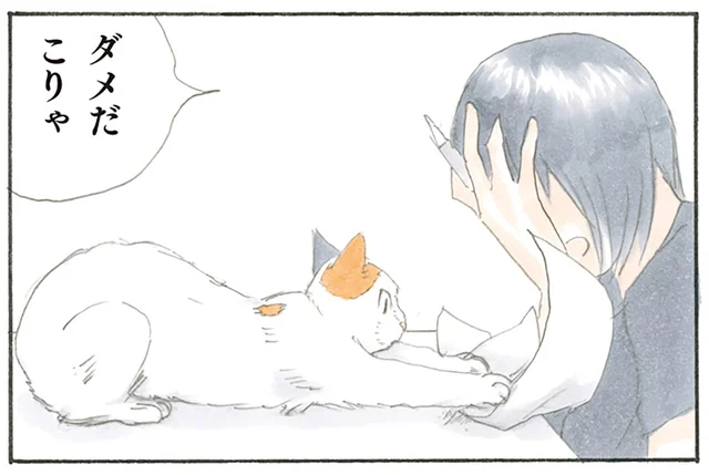 「遊びじゃないから」猫にとっては遊びです!? 無邪気なちょっかいに頭を抱えます／拾い猫のモチャ（2）