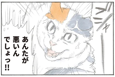 逆ギレ！？