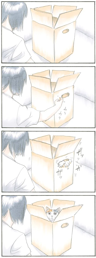 猫の要塞