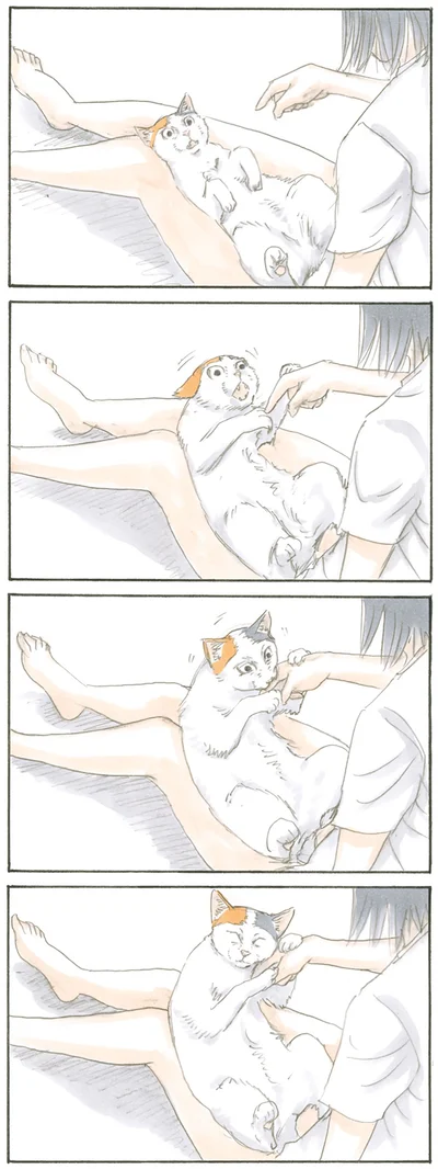 伝えたいこと