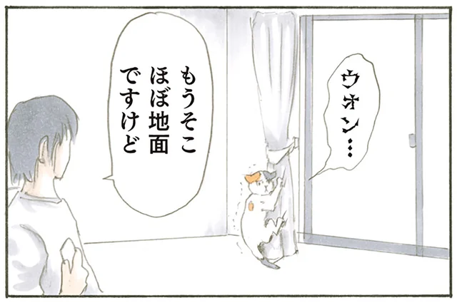 何が怖いんだろう。カーテンを登って降りられなくなった猫のビビリようがスゴい／拾い猫のモチャ（5）