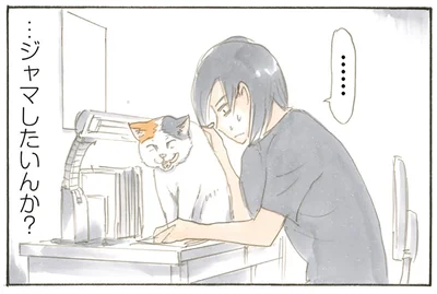 ジャマしたいんか？