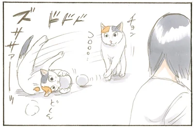 目の前でボールを転がして