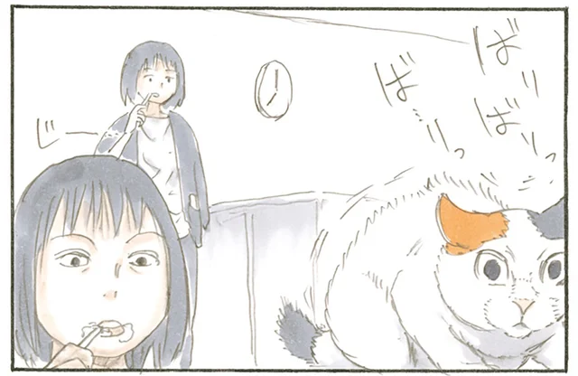 「見てたの!?」爪とぎに夢中になっている猫を見ていたら驚かれました／拾い猫のモチャ（8）