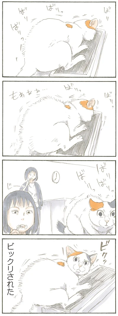 見てたの!?