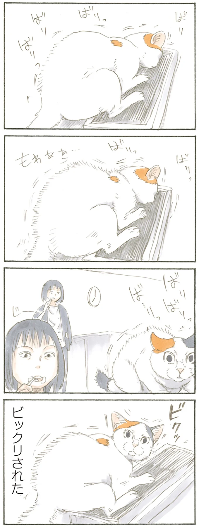 見てたの!?