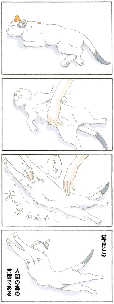 猫背