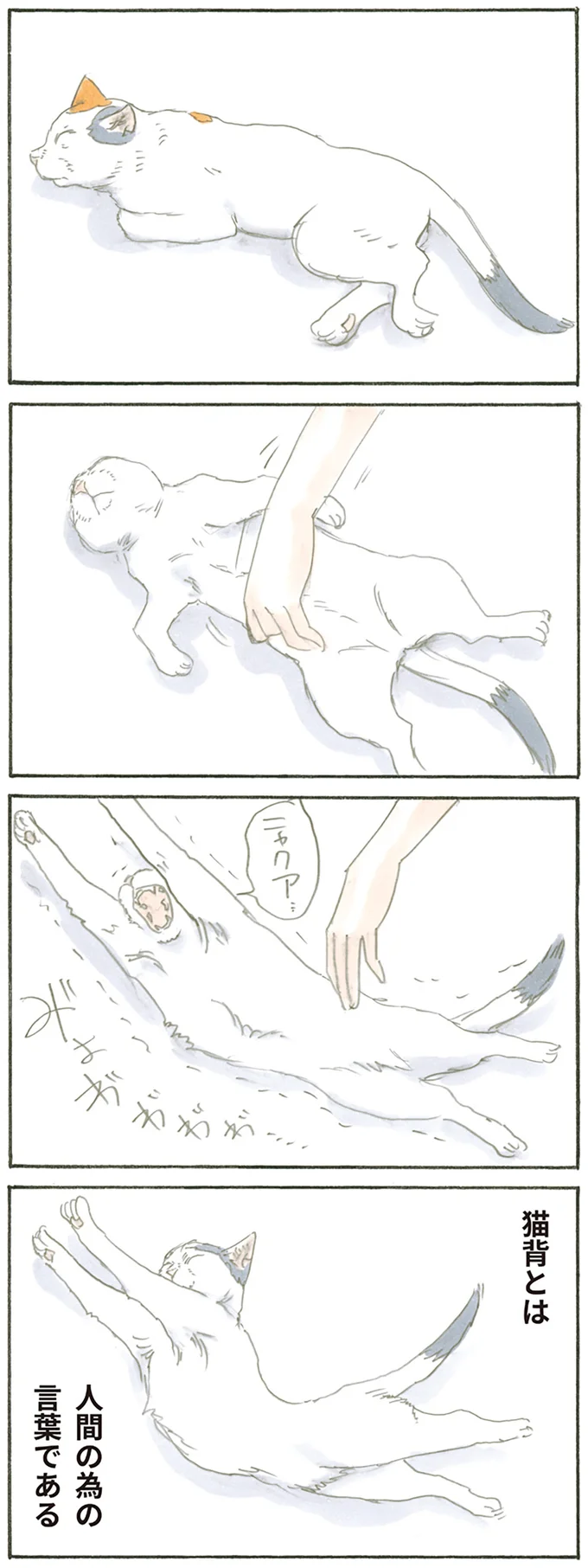 猫背