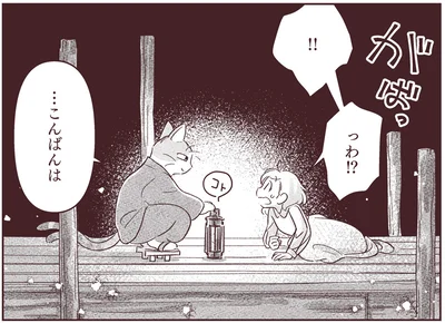 っわ！？