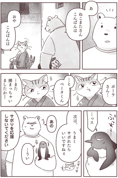 ねこまたさんこんばんは