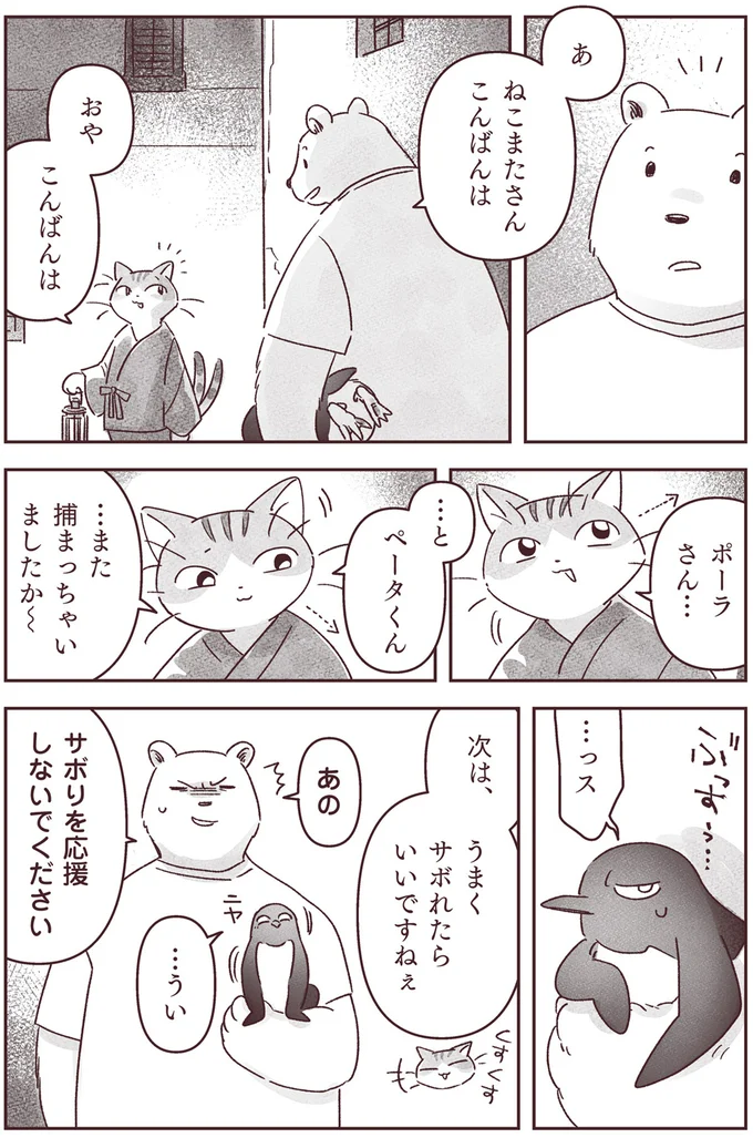ねこまたさんこんばんは