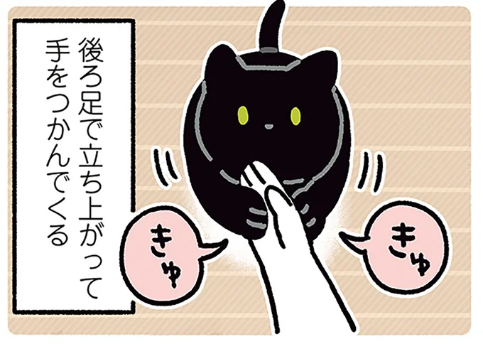 ねえねえ