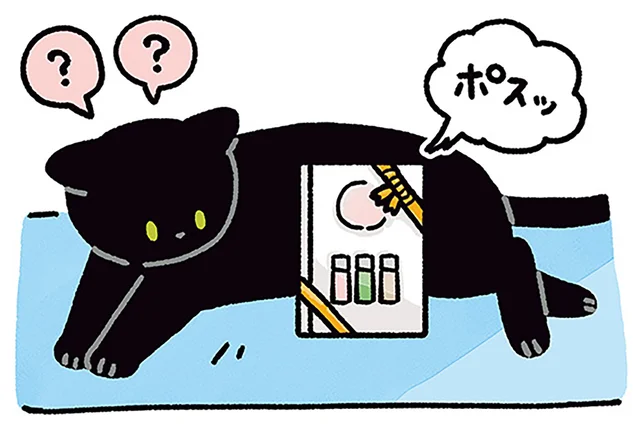 黒猫にとっては謎のまま？飼い主が記念撮影をするときの習性／黒猫ろんと暮らしたら4（7）