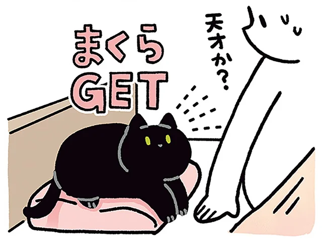 労せずまくらGET？黒猫の策略にはまった飼い主／黒猫ろんと暮らしたら4（8）