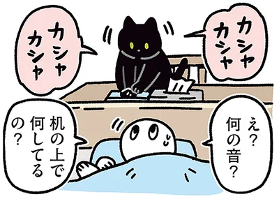 愛猫の訴えとは