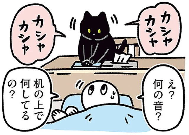 びっくりしすぎて眠気も吹っ飛ぶ！トイレを済ませた黒猫が飼い主に訴えたこと／黒猫ろんと暮らしたら4（13）