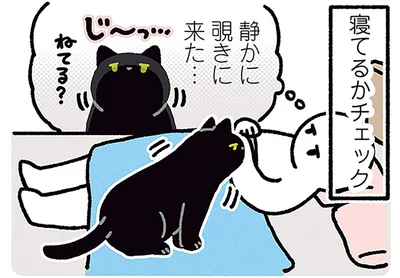 寝てる？